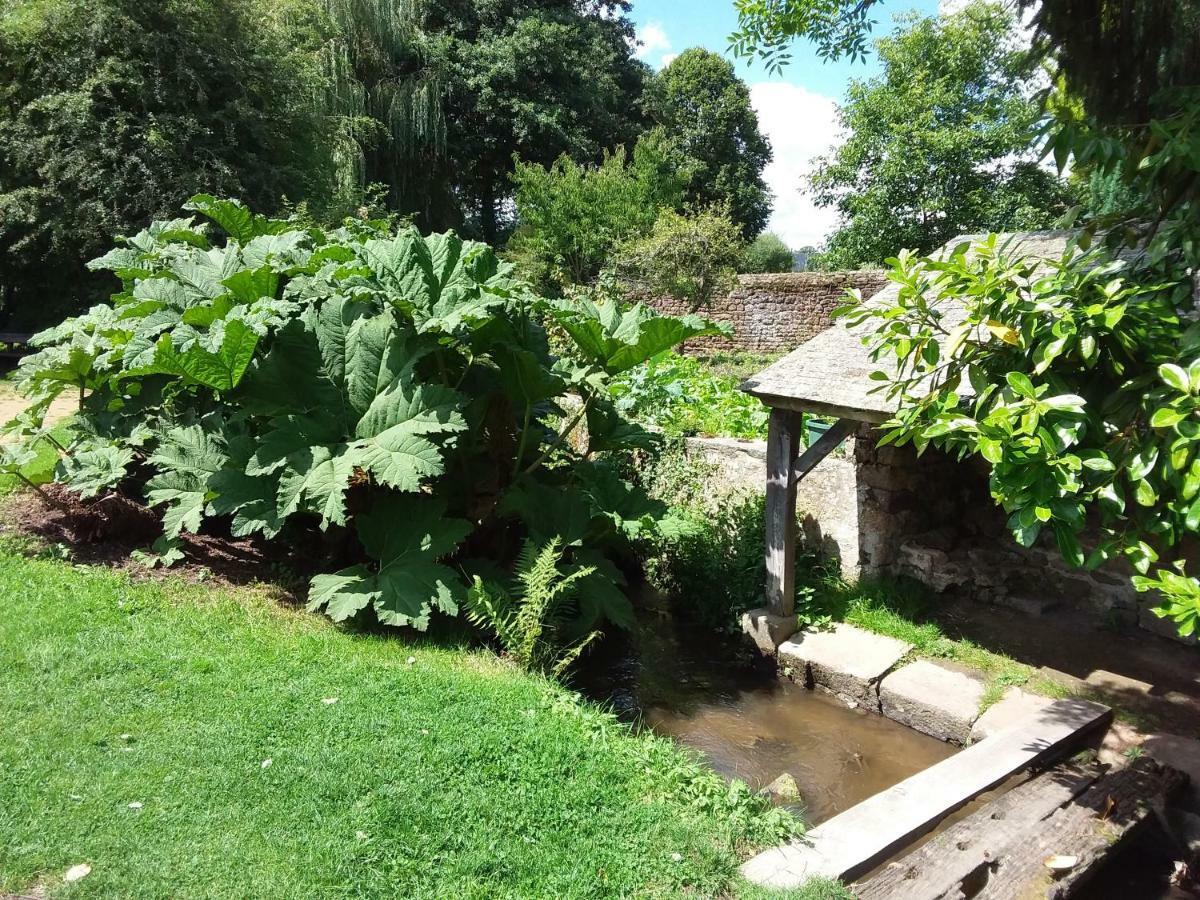 L'Orchidee Villa Lassay-les-Chateaux Luaran gambar